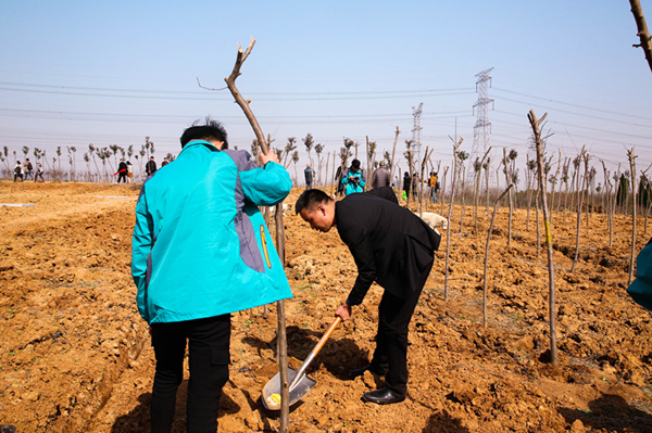 “攜手植樹，共創(chuàng)藍(lán)天”丨南京新華師生共筑新華育才林
