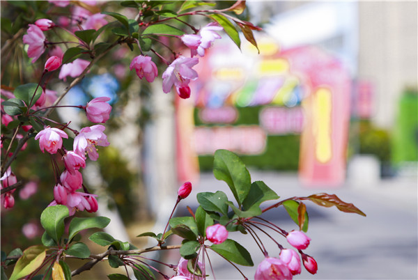 春暖花開，等你歸來——邀你云賞南新春景，以慰思念