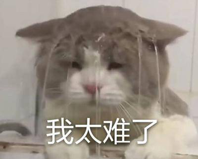 勁爆！新華電腦教育服務(wù)旗艦店正式入駐天貓，課程1折秒殺！